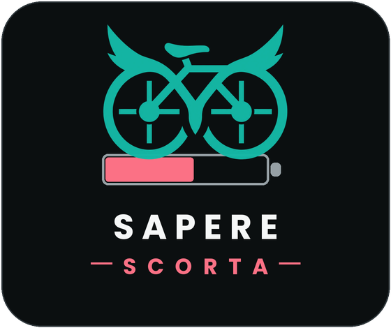 Sapere Scorta — W′-balance race field